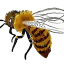 Logo Marvin's Garden