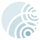 Logo Skip a Stone consultancy AND interim management