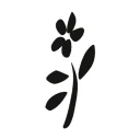 Logo PLUUK Body