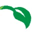 Logo van VSR inspecteur