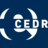 Logo ICARUS