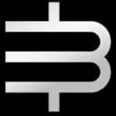 Logo Bingham Advisory