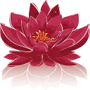 Logo Praktijk Jei voor Psychosociale Therapie Coaching AND Training