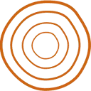 Logo Diaspora Wellhouse Institute for Cultural Heritage Well-being and Community