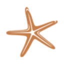 Logo St(r)andplaats Nederzandt