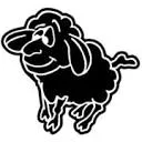 The Black Sheep Foundation logo