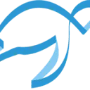 Logo Blue Turtle Tax