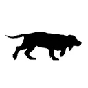 Logo Black Dog Rare Books