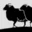 Logo Noordwijktrial