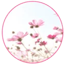 Logo Praktijk HSP
