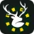 Weldraad logo