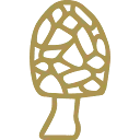 Logo Restaurant Morille
