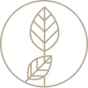 Logo Djaja.nl