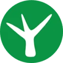 Logo Consistence