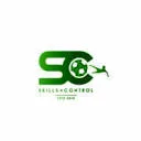 Logo Skillss
