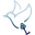 Logo Pavoncella Vastgoed