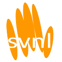 Logo Stichting Verkeersregelaars Nederland