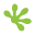 Logo Gecko Covers