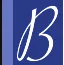 Logo Van Bergeijk Office Support