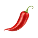 Logo METPEPER
