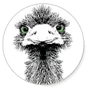 Logo EMU-Instruments