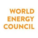 Logo Future Energy Leaders The Netherlands