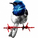 Logo Redwire Media