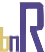 Logo Business Netwerk Rijnmond