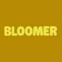 Logo Bloomer Flowers