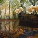 Logo Albert Dros Photography
