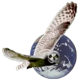 Logo New Way Learning Services
