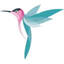 Logo Kolibrie HRM