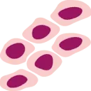 Logo European Lobular Breast Cancer Consortium ELBCC