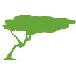 Logo Geotron Caribbean