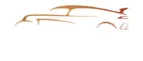 Logo van The Car Gallery