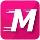 Logo Motormeiden