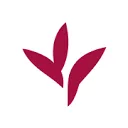 Logo Delphy International