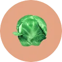 Logo SPROUT PUBLISH