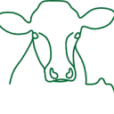 Logo V-dokter