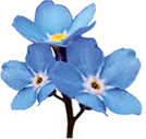 Logo van Stichting Brunnera