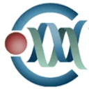 Logo Webtool4all