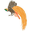 Logo SDSP Foundation