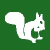 Logo Camping Rijsterbos