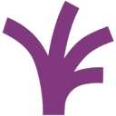 Logo Digitale Stad