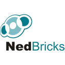 Logo NedBricks