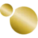 Logo ERION