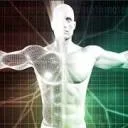 Logo van Bodyhacker Network