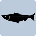 Logo van Bawykov® Zalm