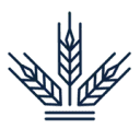 Logo Biscuit International Netherlands