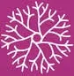 Logo van Nederlandse Vereniging voor Neurologie